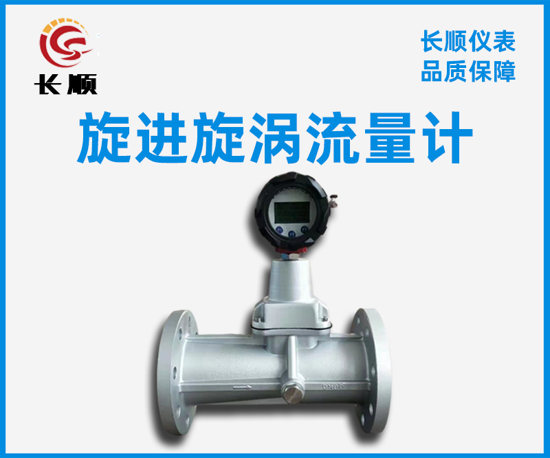 旋進(jìn)旋渦流量計(jì)