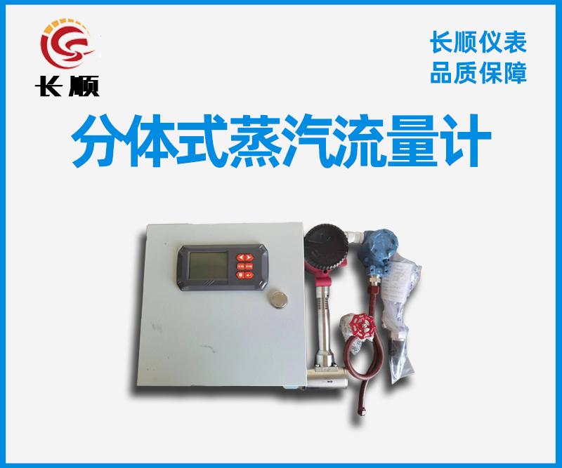 分體式蒸汽流量計(jì)